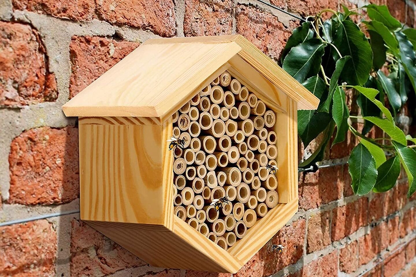 Bee house