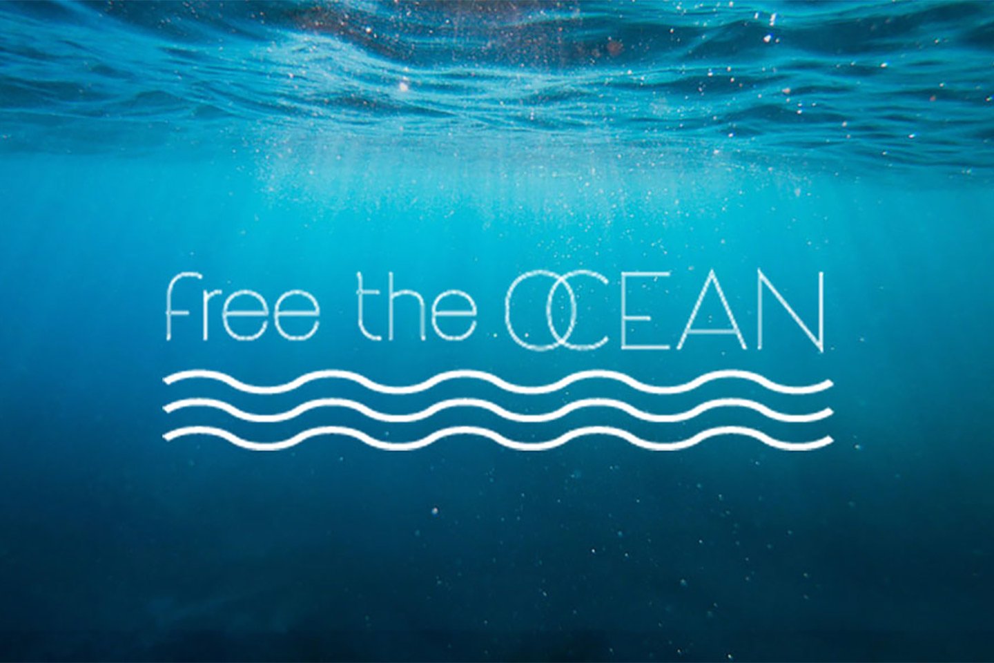 Free the ocean