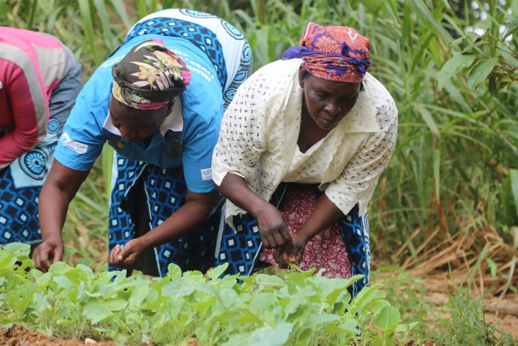 African woman working on farm