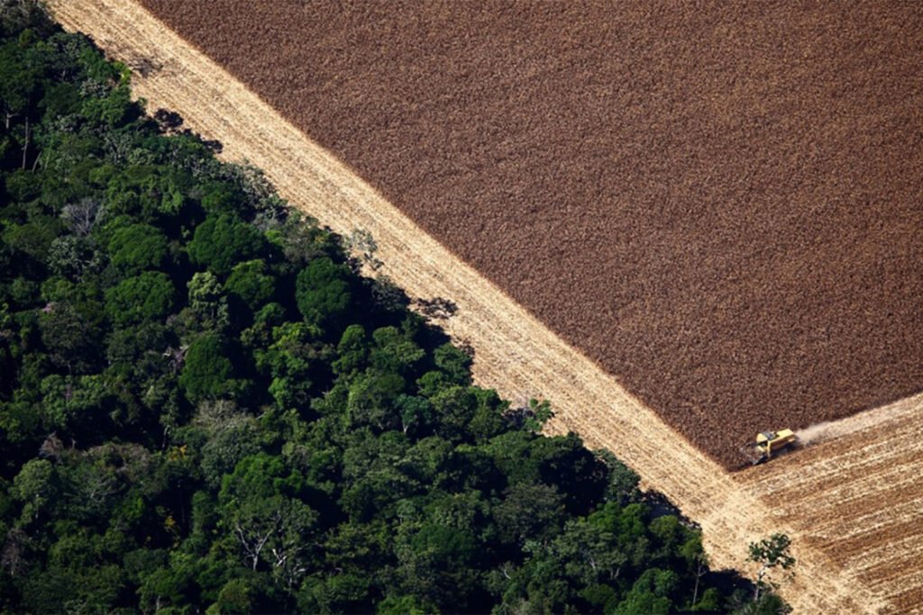 Amazon rainforest deforestation farm from above