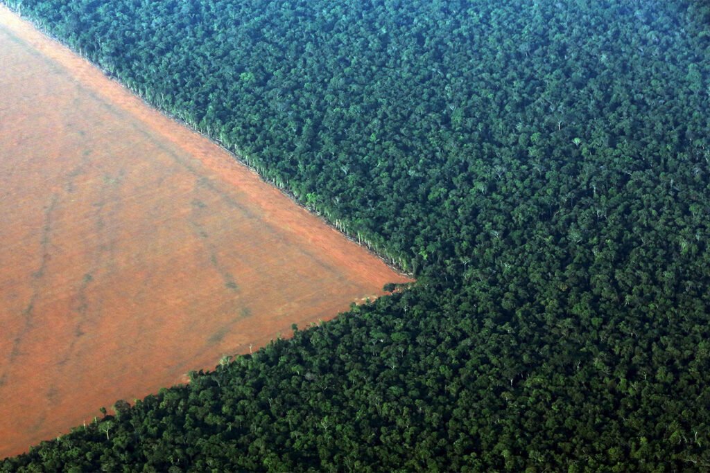 Amazon rainforest deforestation from above straight lines