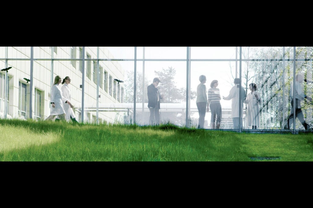 Business sustainability leaders