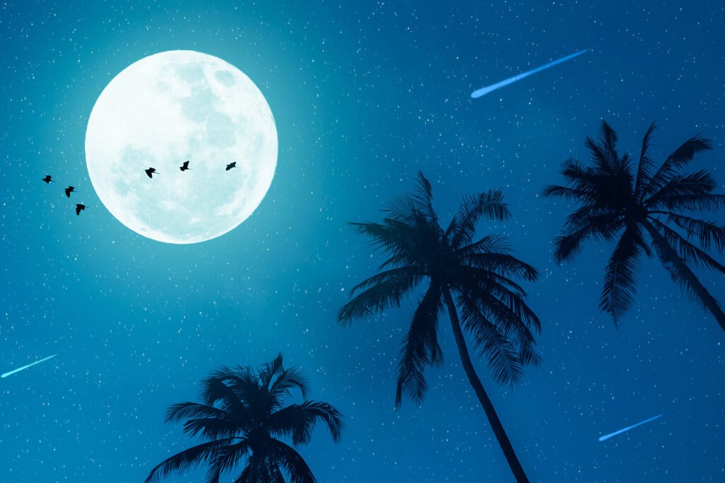Large full moon birds flying accross palm trees