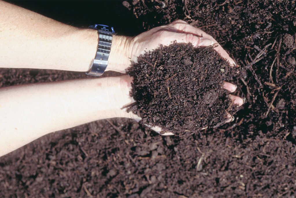 Soil held in hands